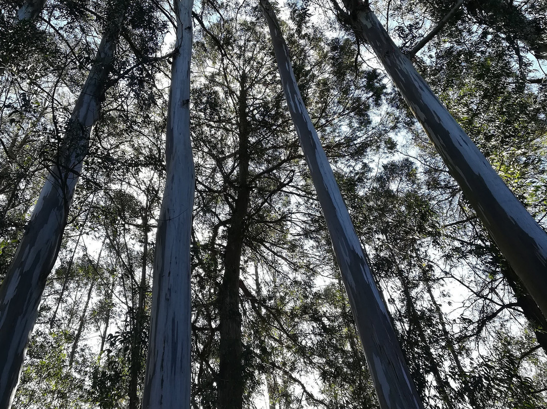 Porto de Bois Apartamentos Turisticos主图