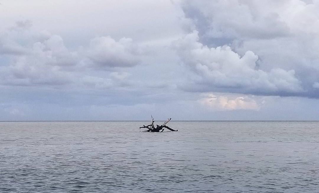 Cape Romano-马可岛必去景点