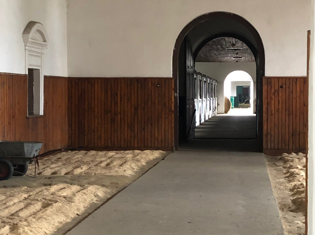 Stadnina Koni Janów Podlaski-Janow Podlaski必去景点