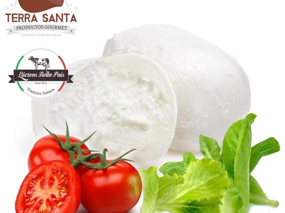 Lacteos Bello Pais-Los Angeles必去景点