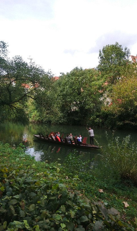 Public Punting Trips景点图片
