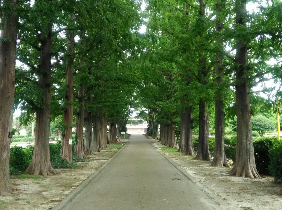 Kitakyushu Agricultural Center-北九州市必去景点