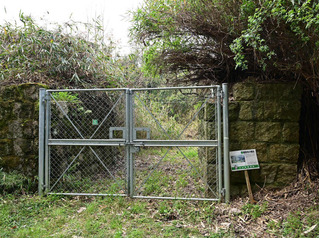 Daibutsu Railway-近畿必去景点