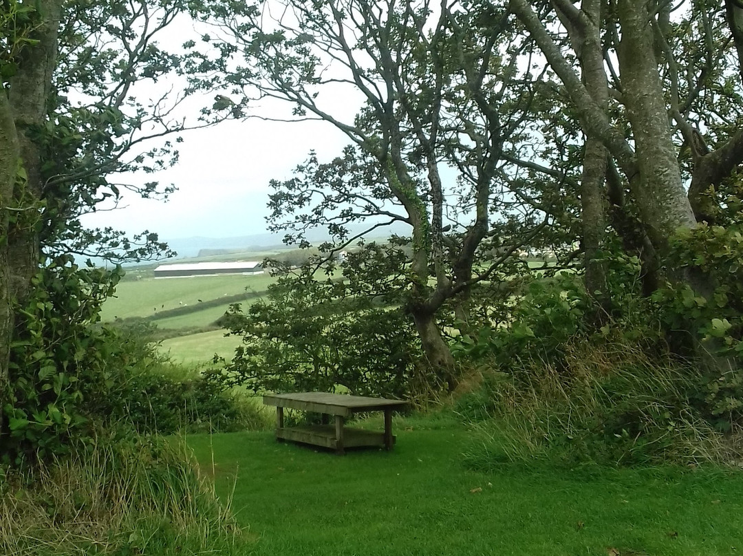 Llanrhian旅游攻略图片