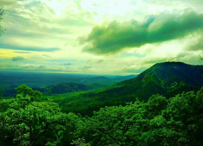 Agumbe Ghat景点图片
