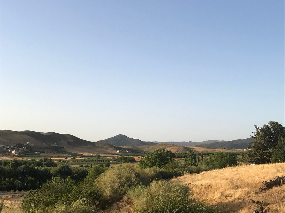 Le Palais des Cerisiers主图