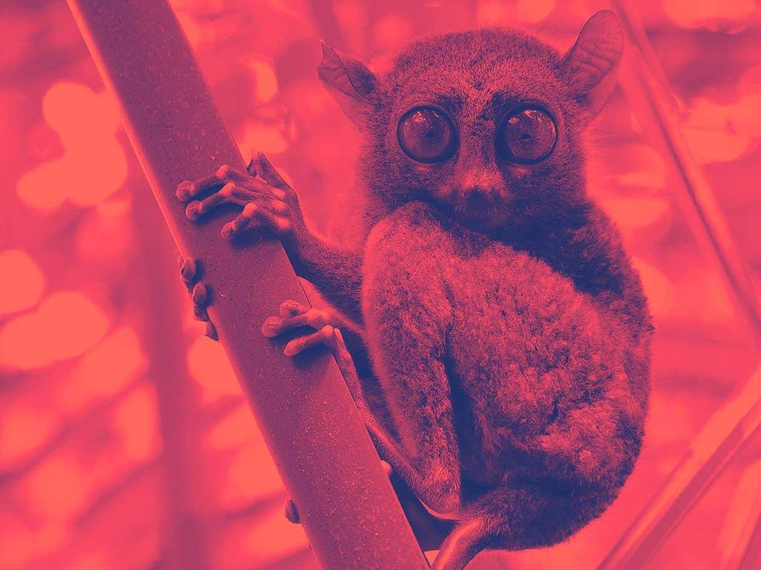 INDONEO™-Yogyakarta必去景点