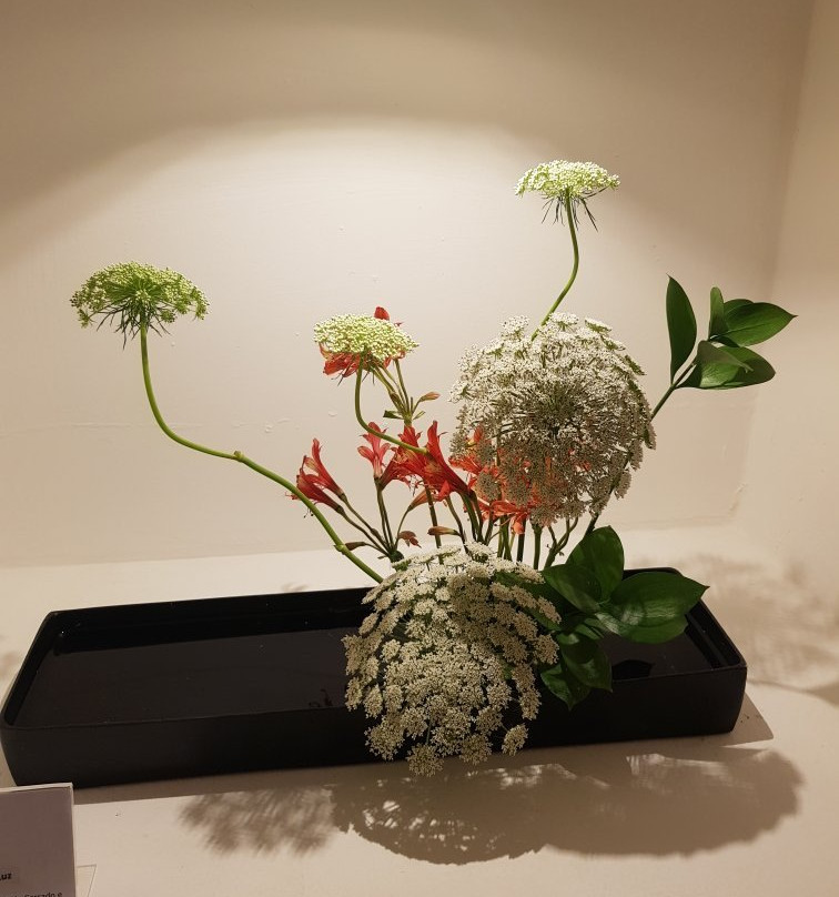 Templo Shin Budista – Terra Pura Brasília-巴西利亚必去景点