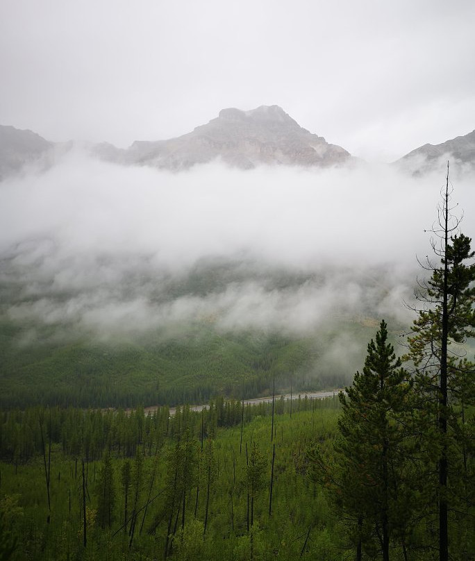 Stanley Glacier景点图片