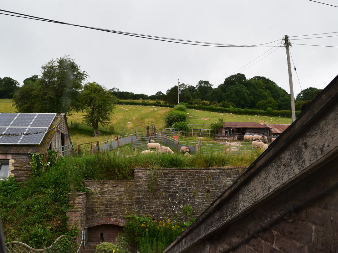 Llangattock Lingoed旅游攻略图片