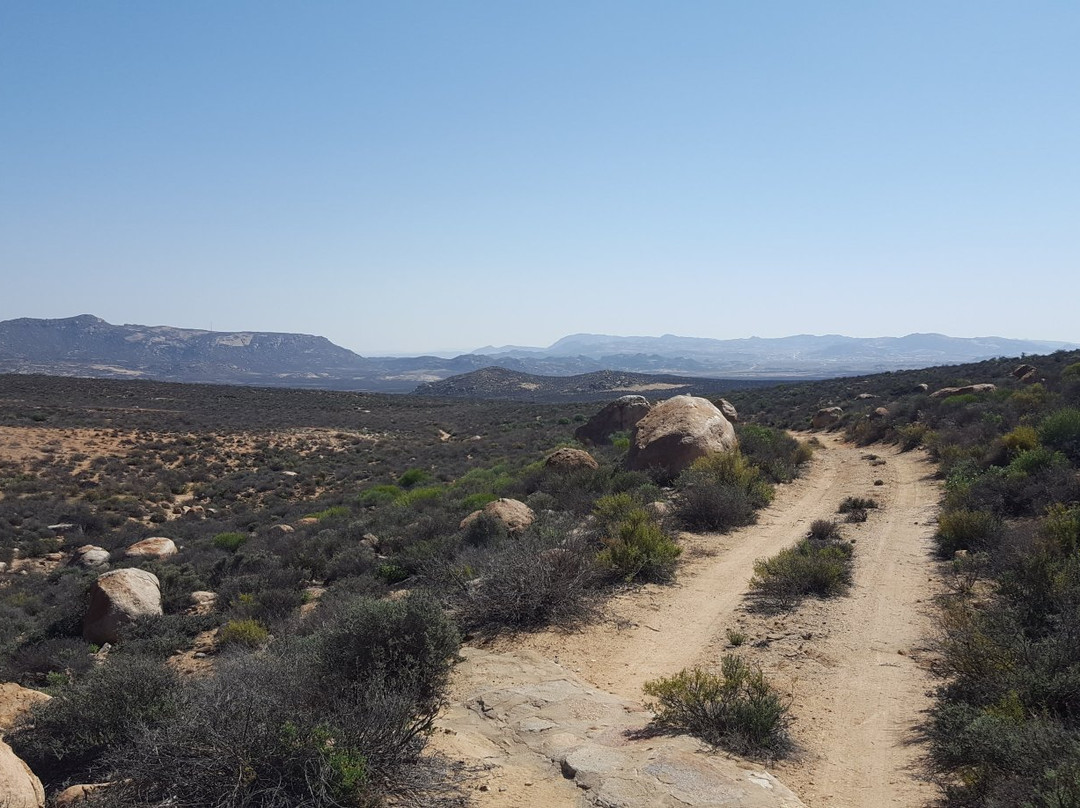 Goegap Nature Reserve-Springbok必去景点