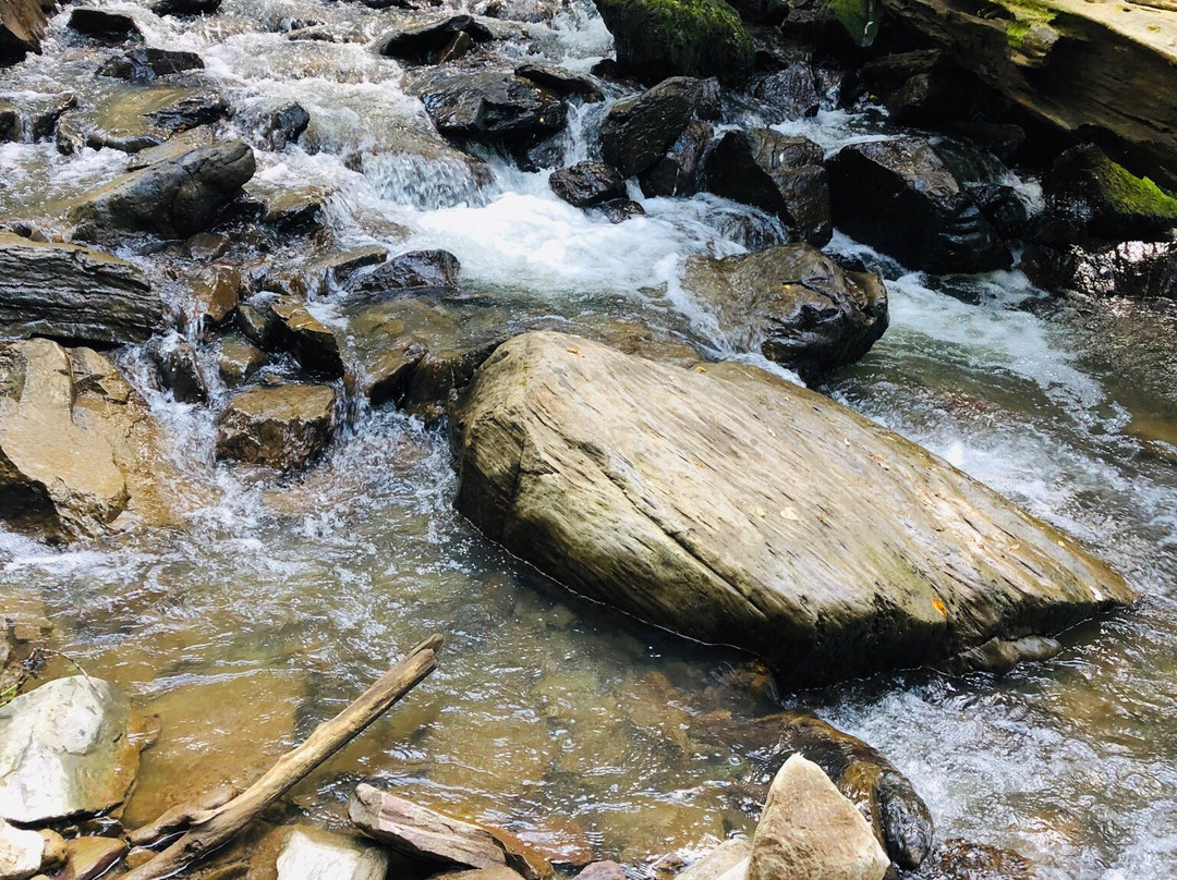 Cascading Waterfalls Third River景点图片