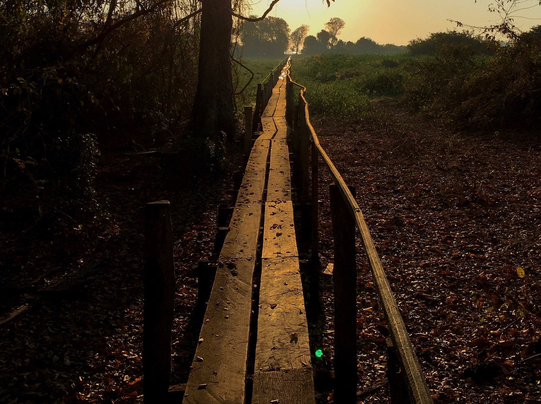 Parque Estadual Encontro das Aguas景点图片