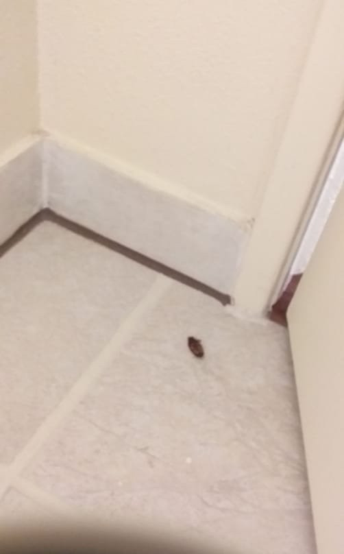 霍华德约翰逊普安那公园大酒店主图