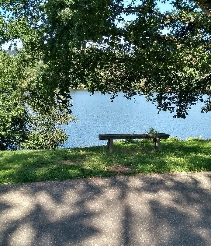 Lac des Sapins-Cublize必去景点