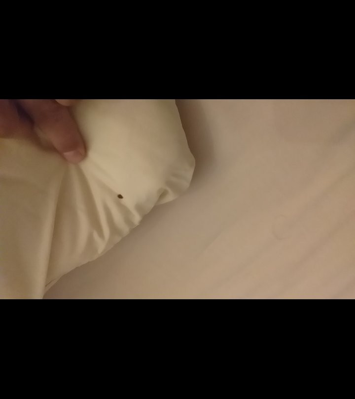 Hotel Baruk Hacienda Spa Zacatecas主图