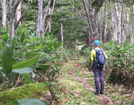Mt. Musadake-中标津町必去景点
