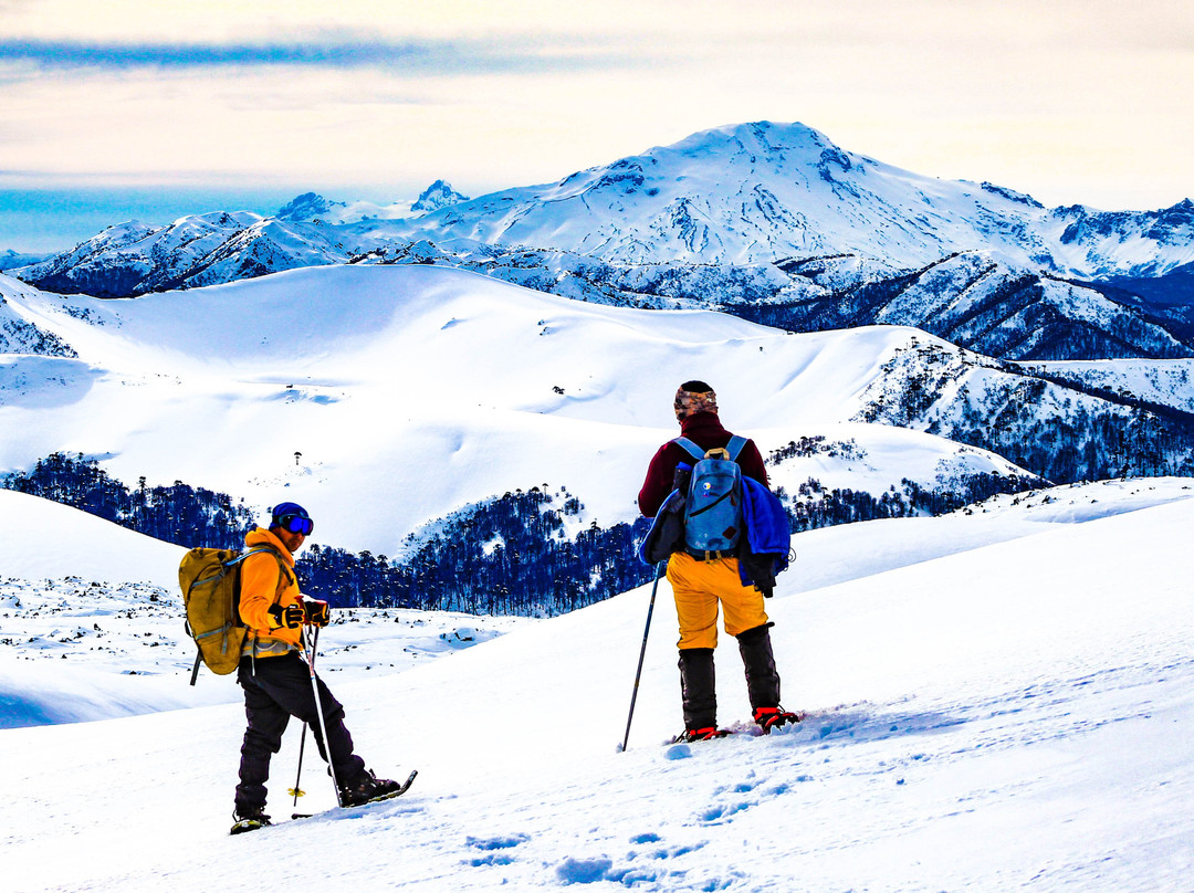 Eco Tour Terra-Curacautin必去景点