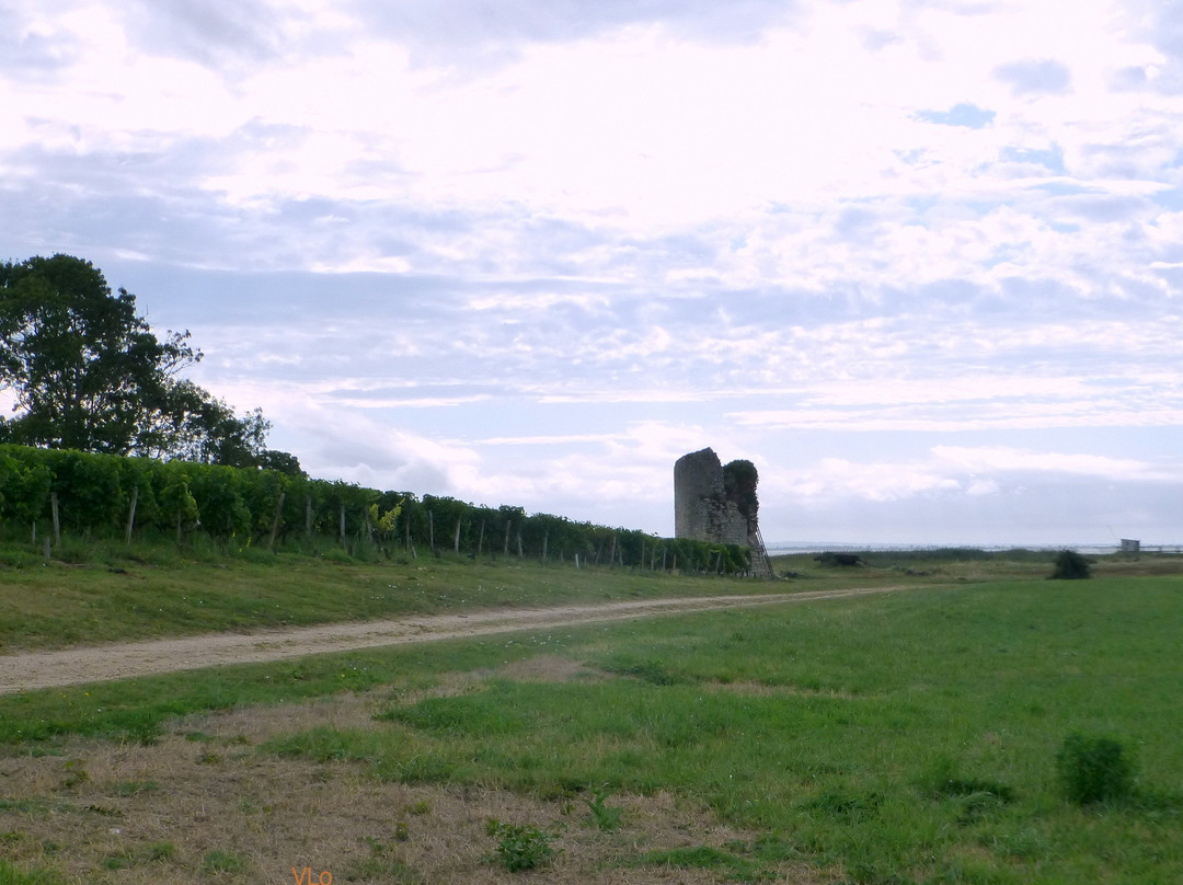 Château tour Castillon景点图片