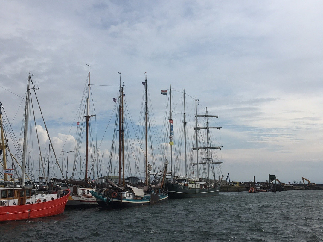 Oudeschild, Texel-特塞尔必去景点