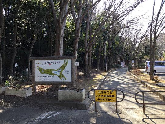 Kaigarayama Park-鎌仓市必去景点