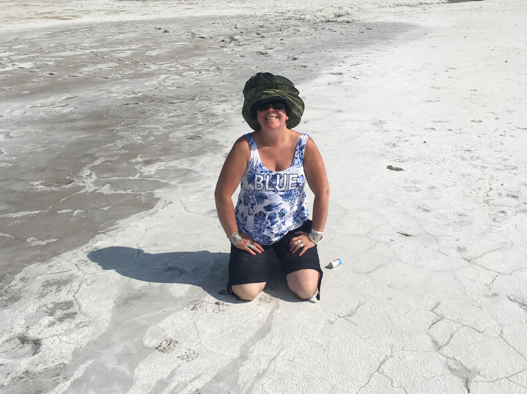 木野牛国家公园-Northwest Territories必去景点