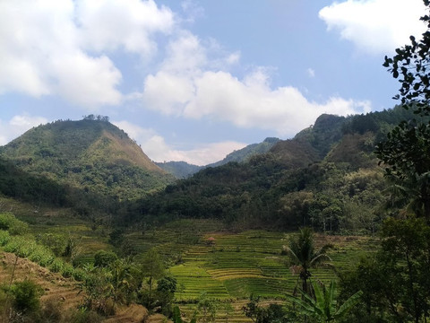 Indo Travel Point-Borobudur必去景点