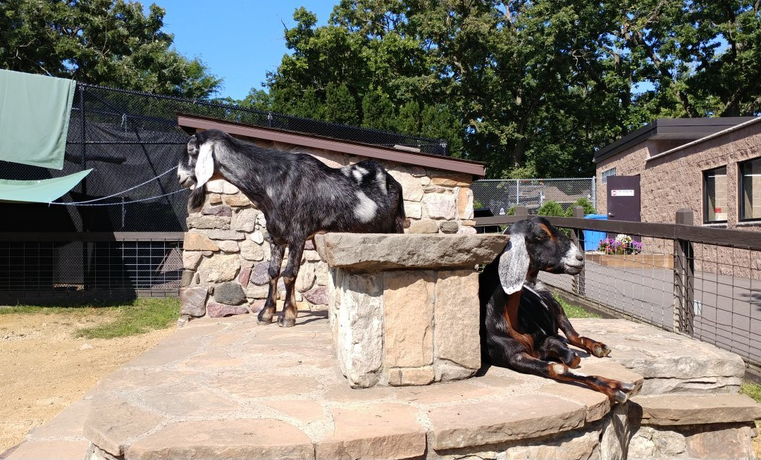 Ochsner Park Zoo-巴拉布必去景点