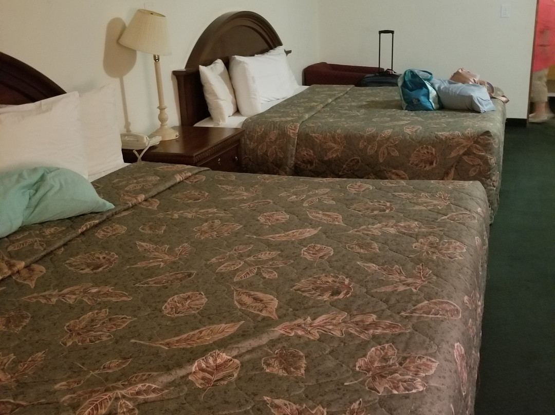 Silver Saddle Motel主图