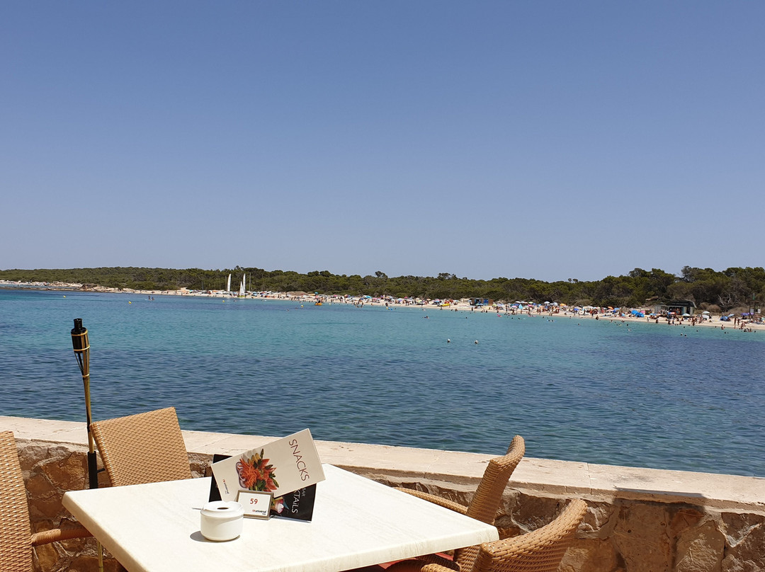 Universal Hotel Marqués主图