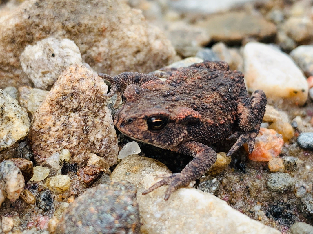 Loch Beinn a Mheadhoin-Cannich必去景点
