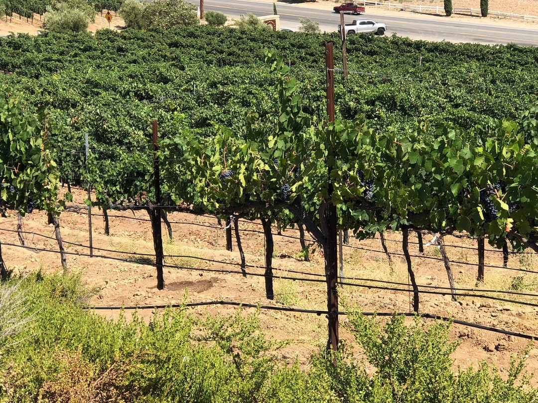 Miramonte Winery-特曼库拉必去景点