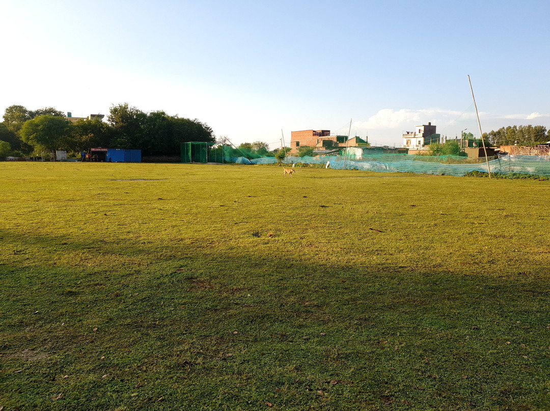 Smr Cricket Academy Lucknow Ground景点图片