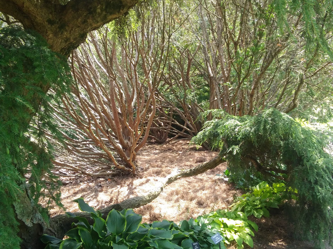 Yew Dell Botanical Gardens景点图片