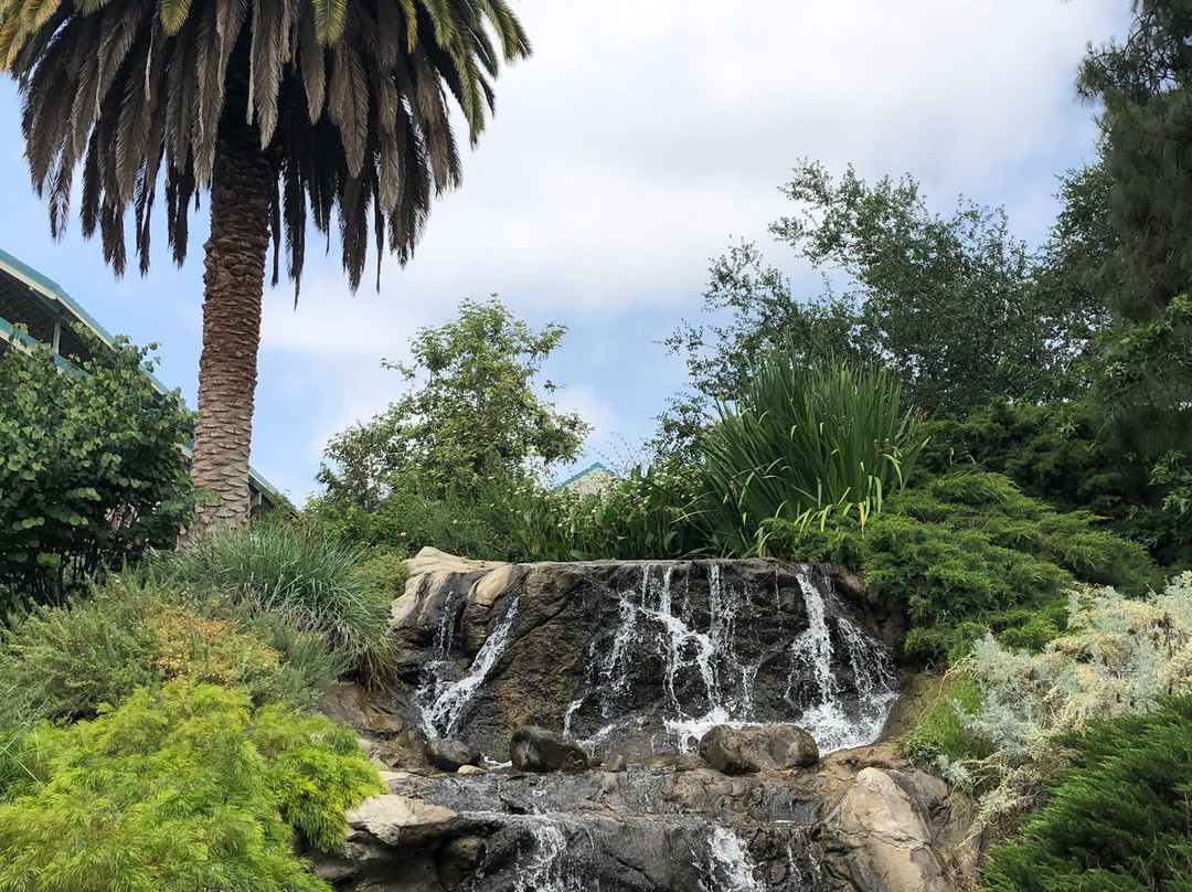 Arboretum And Botanical Garden At Cal State Fullerton-富乐顿必去景点