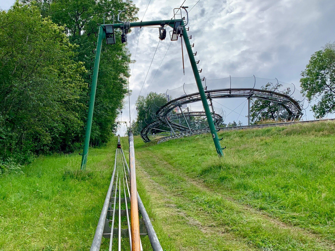 Sommerrodelbahn Grafenau景点图片