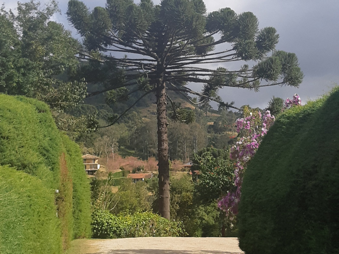 Pousada Solar d'Araucaria主图