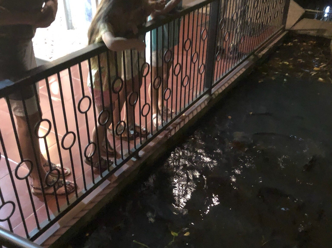 Minak Jinggo Hotel主图