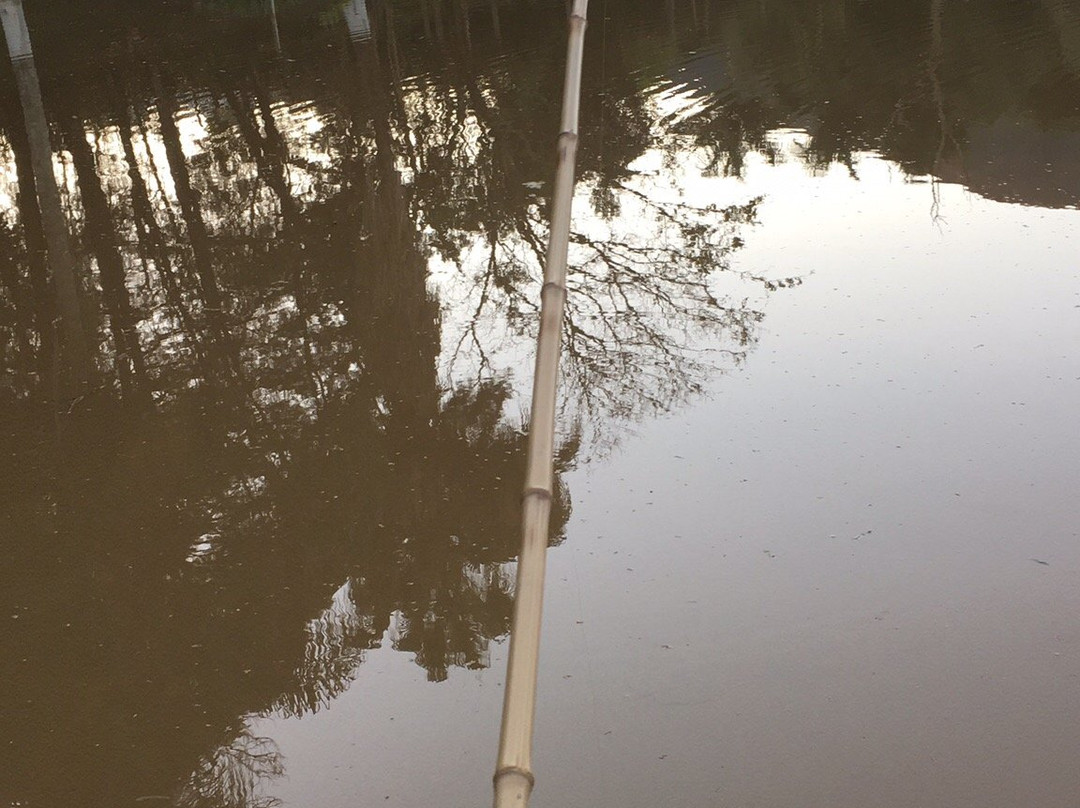 Pousada Appaloosa主图