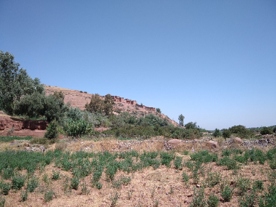 Igrane Food-Tahanaout必去景点