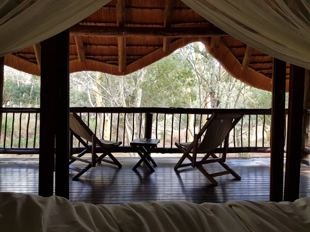 Zululand Tree Lodge主图