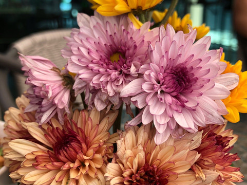 奈汉海滩奈亚布里度假酒店主图