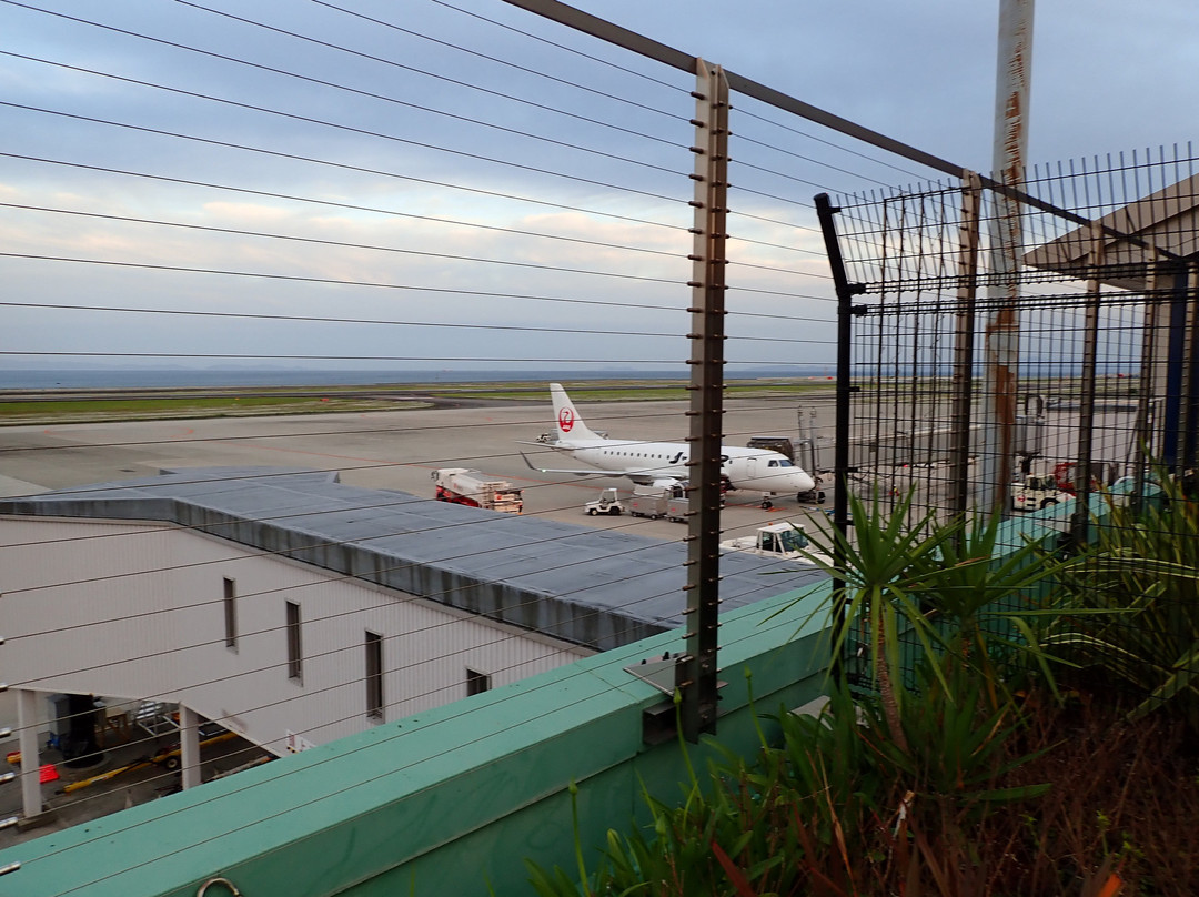 Oita Airport Observation Deck-国东市必去景点