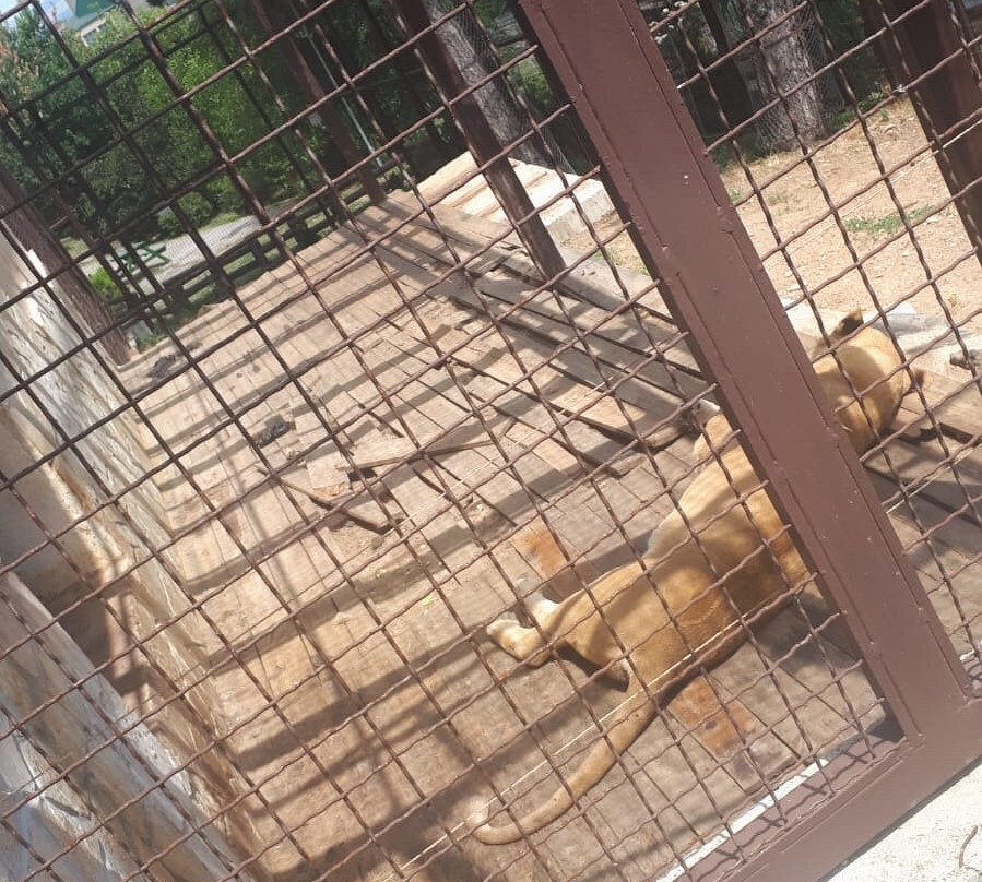 Zoo Bitola-Bitola必去景点