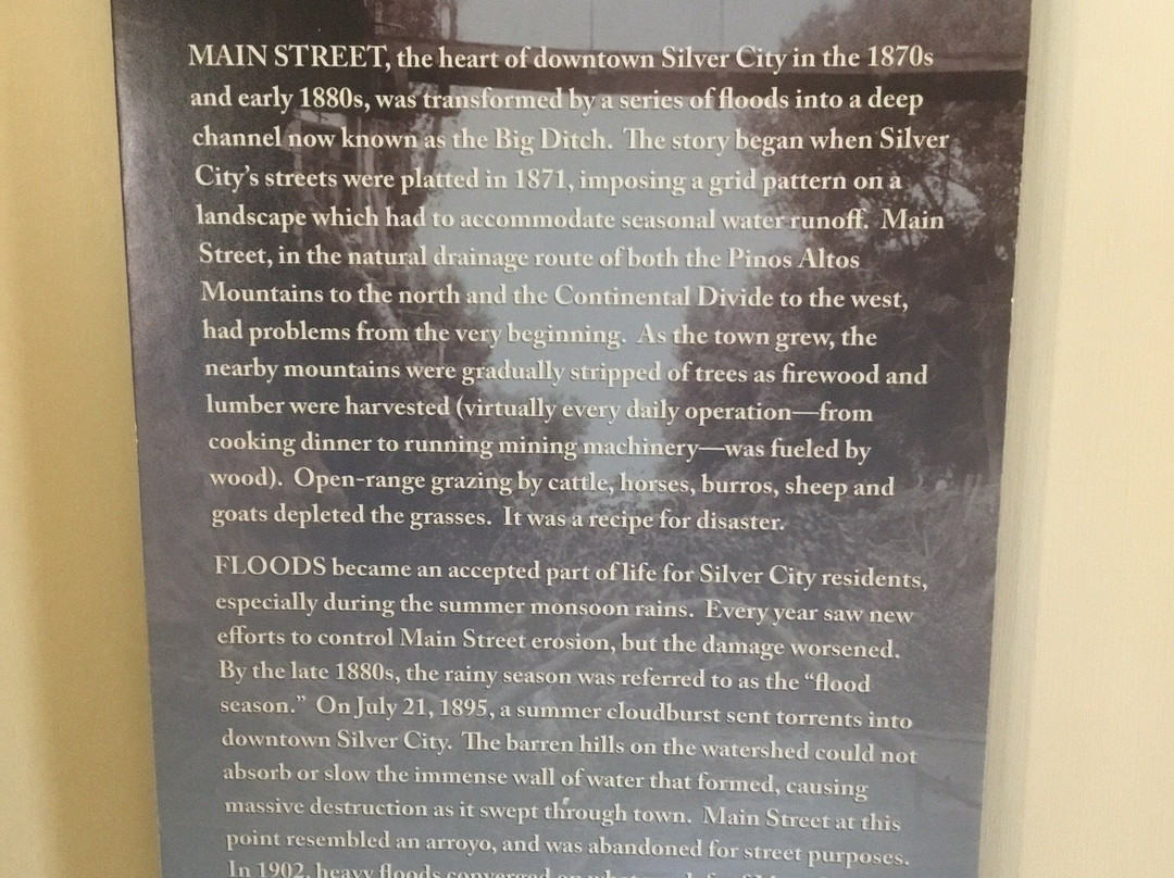 Silver City Museum景点图片