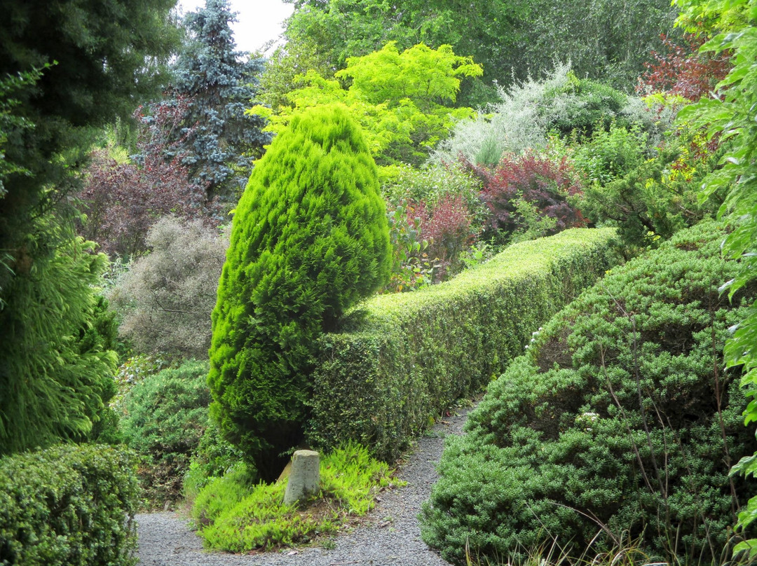 Dingle Nursery And Garden景点图片