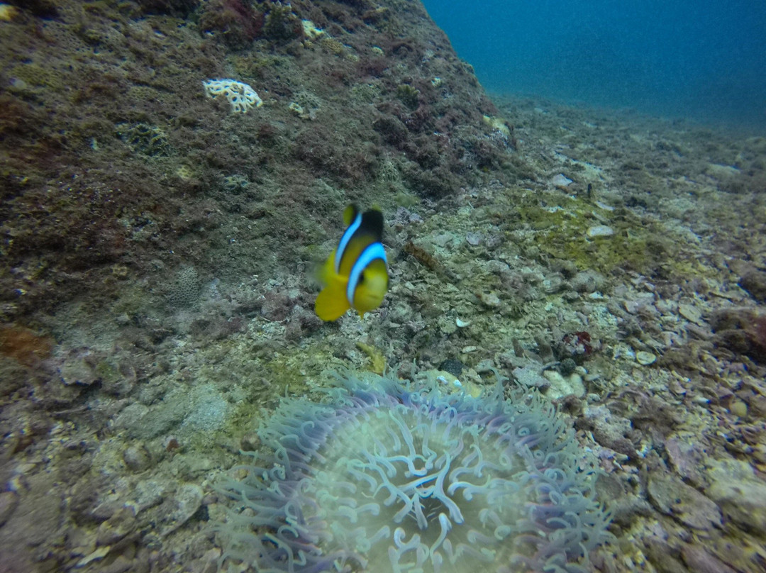 Divinguru Trincomalee-Trincomalee必去景点