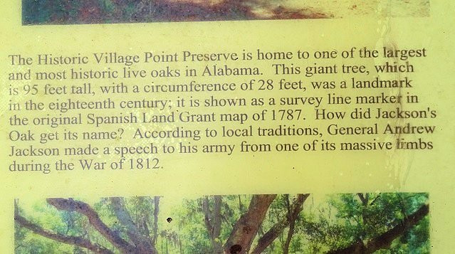 Village Point Park Preserve景点图片
