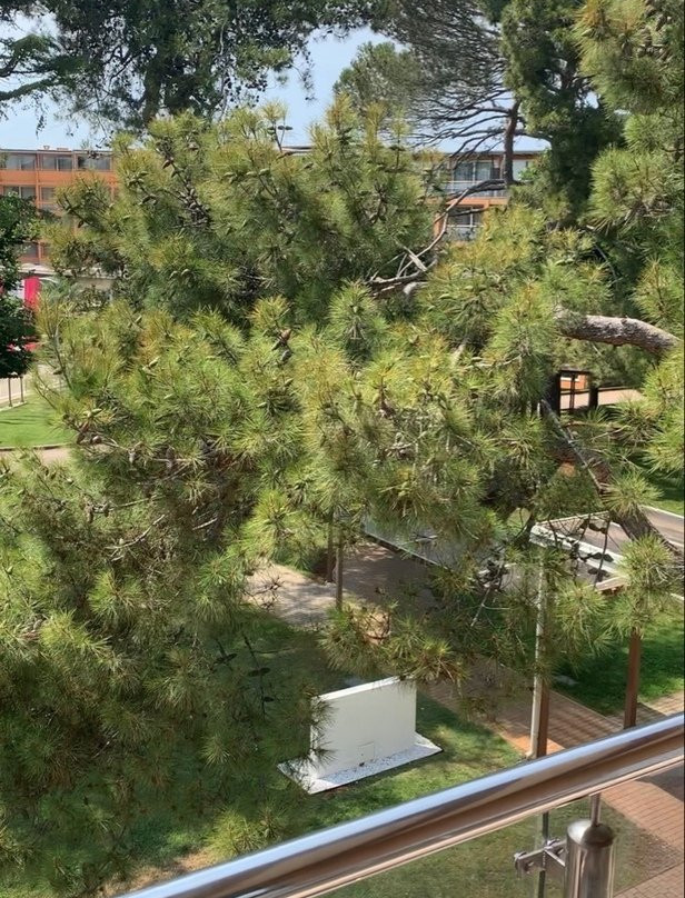 Hotel Umag Plava Laguna主图