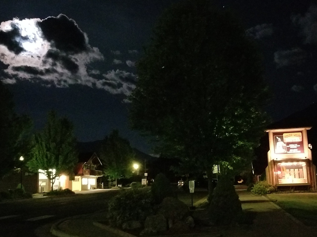 Indian Lodge Motel主图